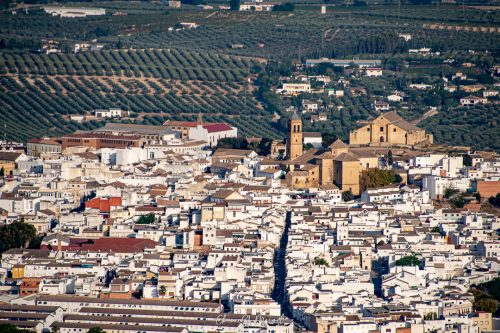 20210821-Montilla-66