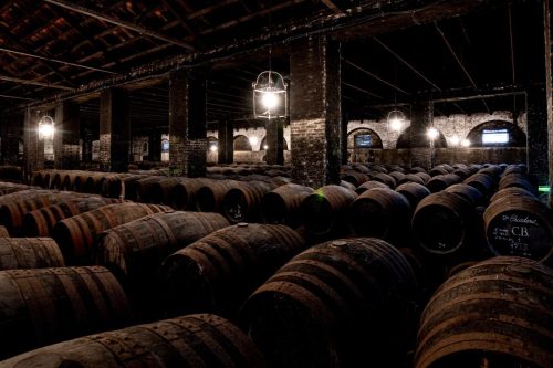 20230507-WinePhoto-5