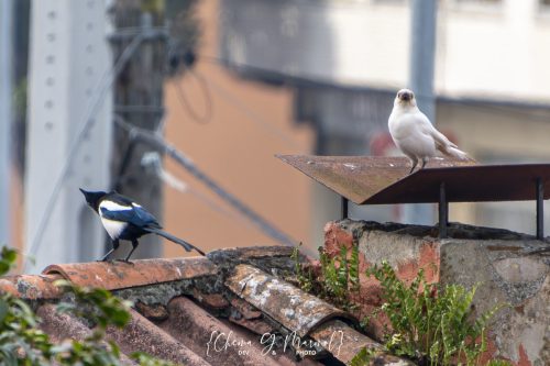 20240920-CaminoSantiago-38